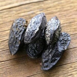 5 fèves tonka en gros plan, rapé cumaru de cheiro