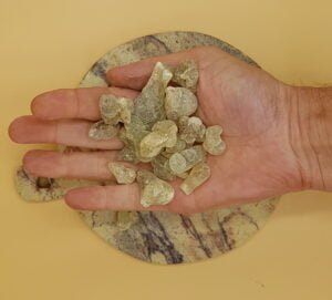 Resina real Hojari verde en la mano