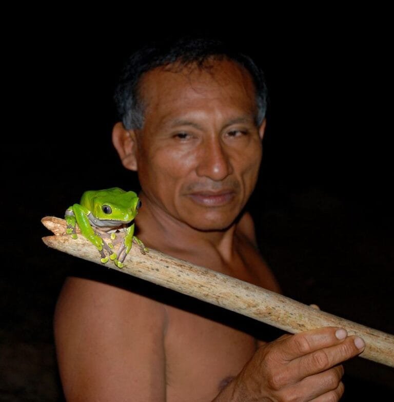 hombre matses con un palo en la mano. tiene una rana Phyllomedusa Bicolor sentada en él
