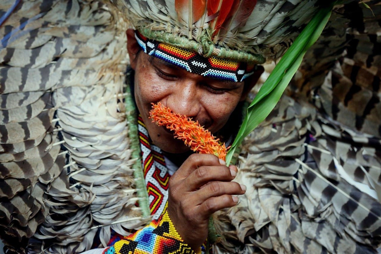 Indien Kaxinawa du Brésil sentant une fleur